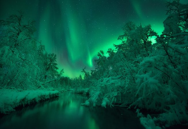 Sumo Waggle Adventure par Arild Heitmann, Norvège