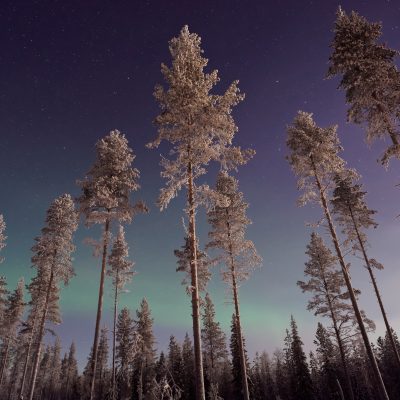 Laponie, Finlande, par Vincent Guth